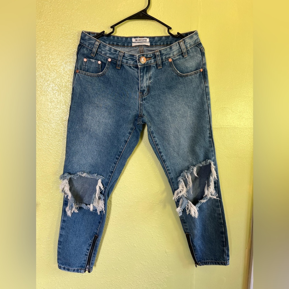 One by One Teaspoon FREEBIRDS Low Waist Rigid Skinny Jean